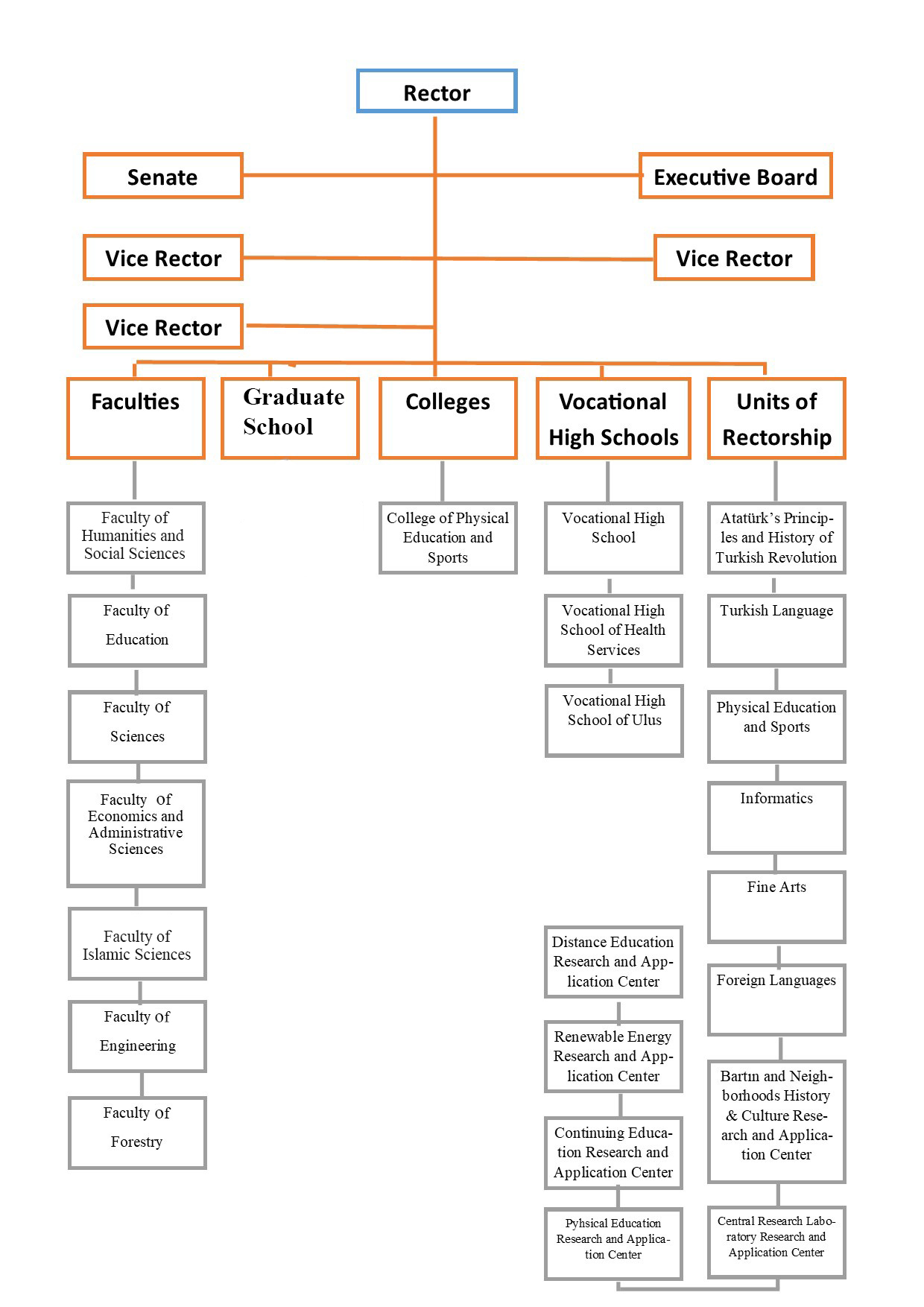 Academic Organizational Chart