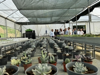 Akıllı Sera Sistemleri Kuruluyor!