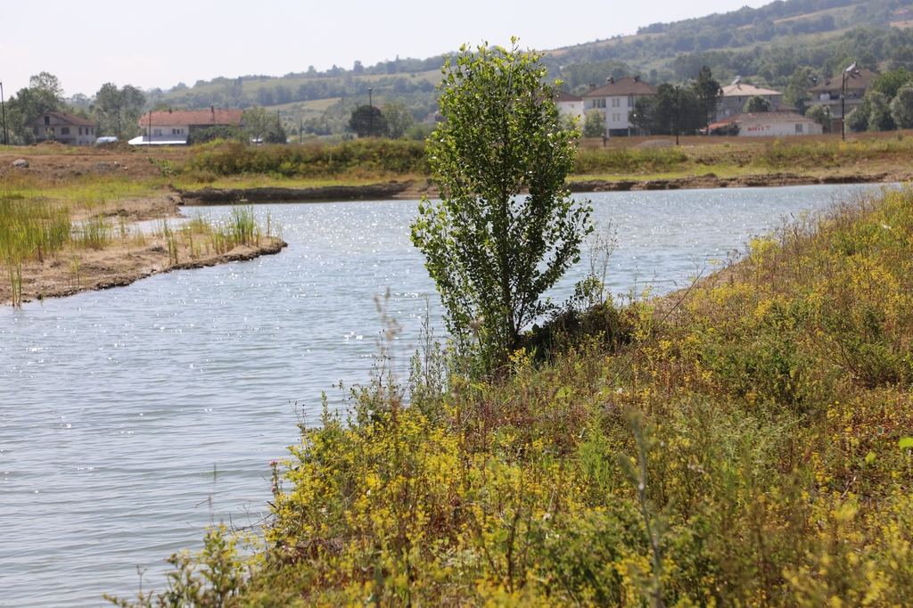 Kutlubey Campus Pond Used for Irrigation of Green Areas