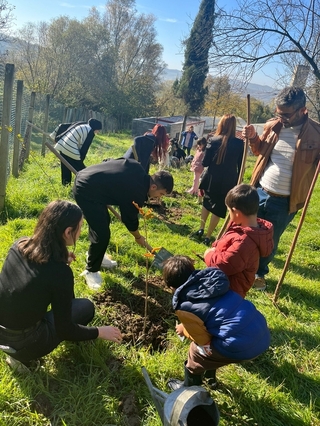 Seedling Planting and Tree Species Training Was Given to Kindergarten Students