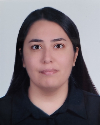 Arş. Gör. Merve Cin Doktora Yeterlilik Sınavında Başarılı Oldu