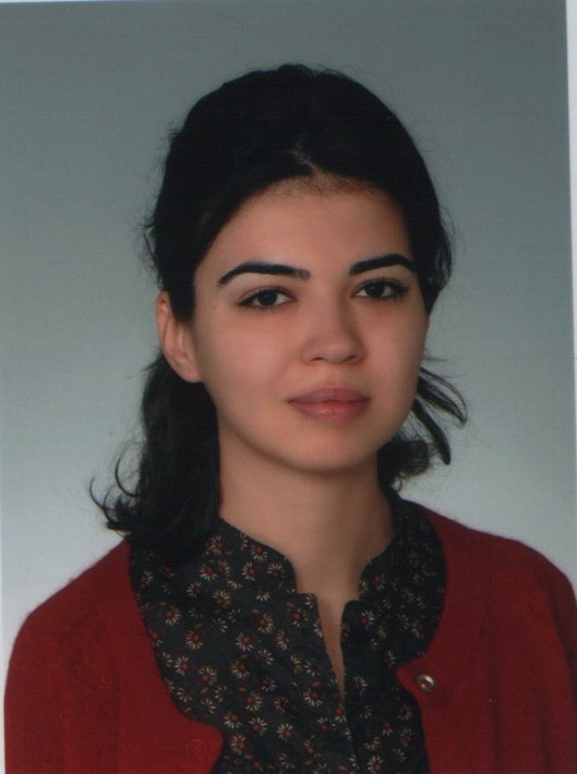 Zeynep YAZICI
