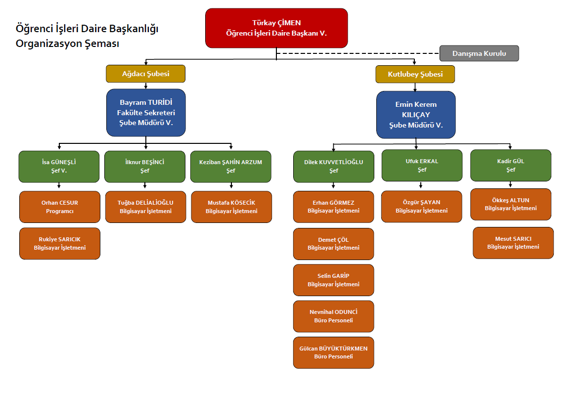 Organizasyon Şeması