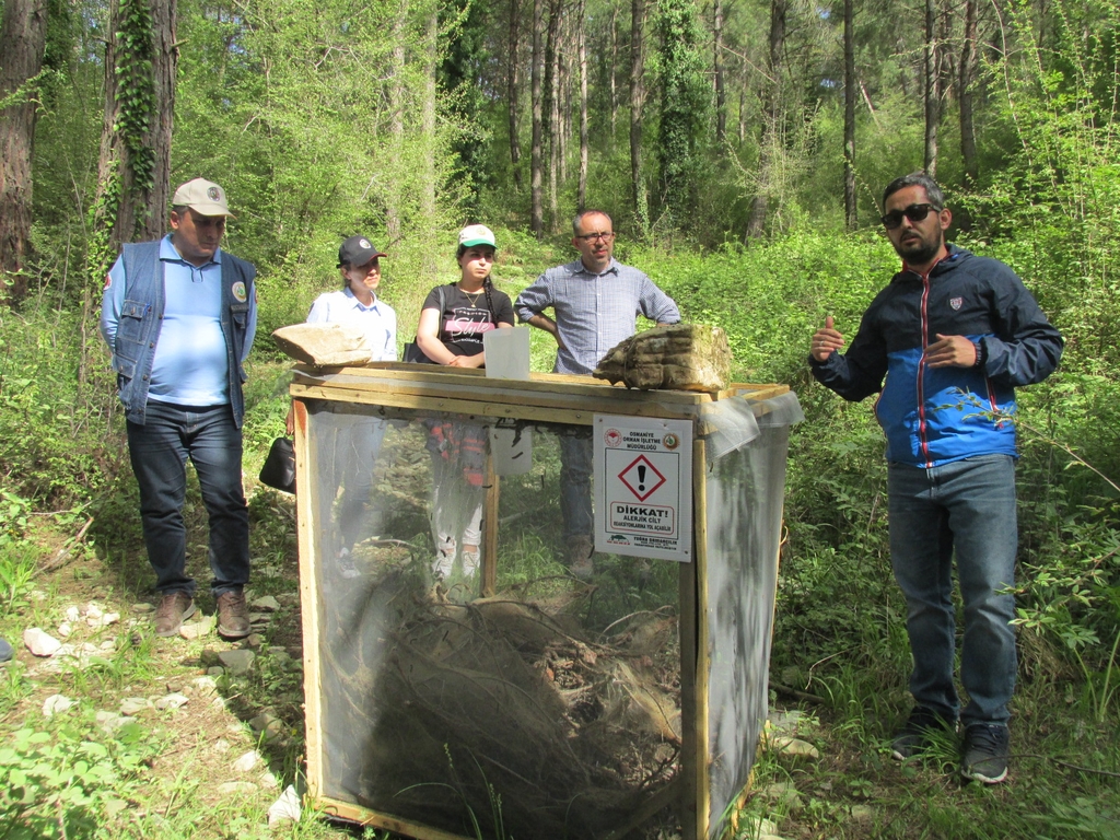 Orman Mühendisliği Öğrencileri Teknik Gezi İçin Adana Orman Bölge Müdürlüğüne Gittiler