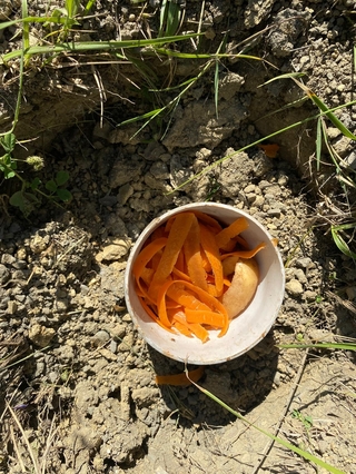 Sıfır Atık Projesi Kapsamında İkinci Biyopor Kurulumu Gerçekleştirildi