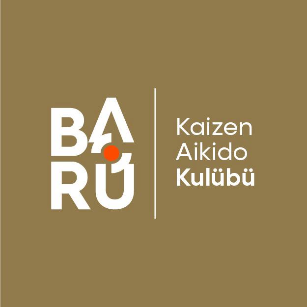 Kaizen Aikido