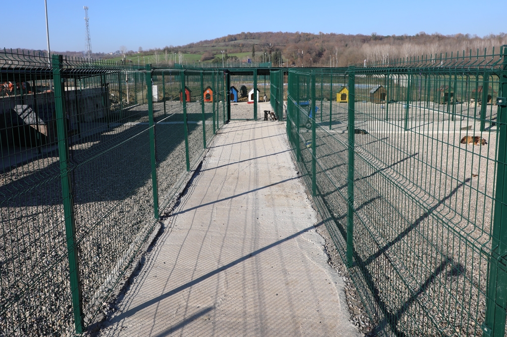 BARÜ’de kampüsteki hayvanlar için yaşam merkezi oluşturuldu Kapak